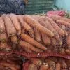 морковь оптом от производителя в Великом Новгороде